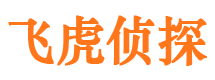 泰安市侦探调查公司